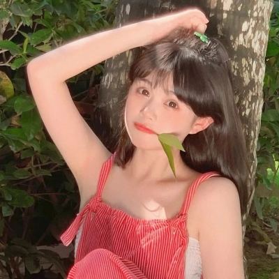飞天战姬游戏